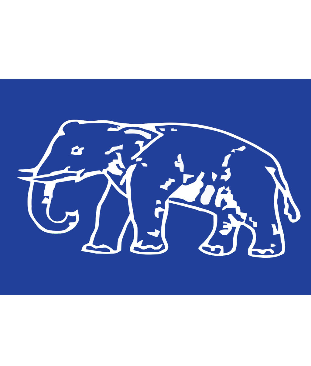 Bahujan Samaj Party (BSP) Flag
