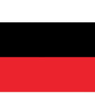 Dravida Munnetra Kazhagam (DMK) Flag
