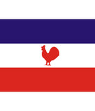 Naga People’s Front (NPF) Flag