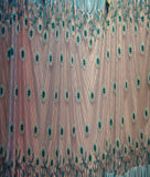 Net Fabric Work – Stylish & Vibrant Decoration Choice