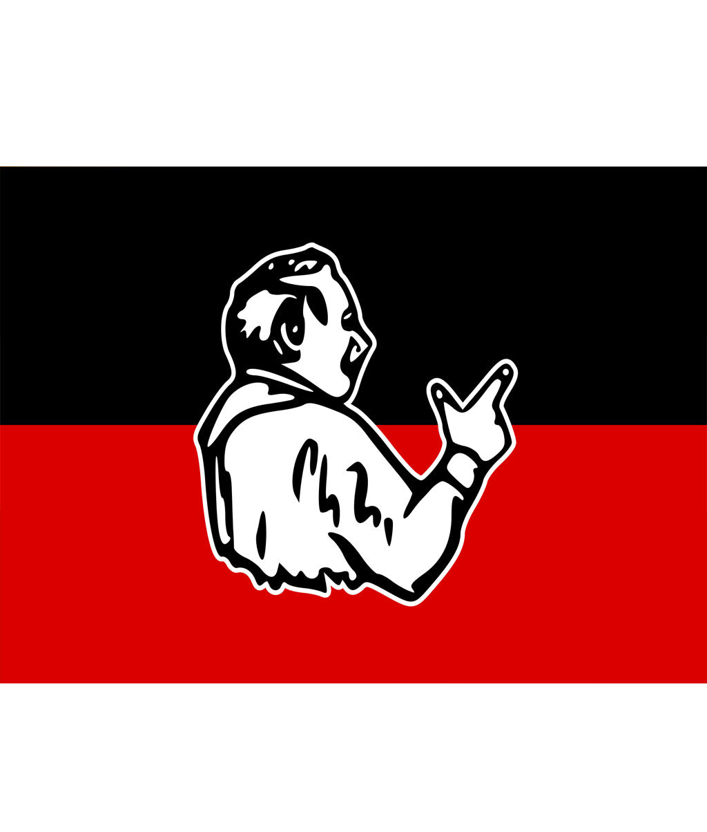 All India Anna Dravida Munnetra Kazhagam (AIADMK) Flag