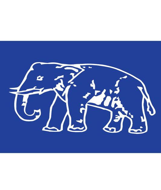 Bahujan Samaj Party (BSP) Flag