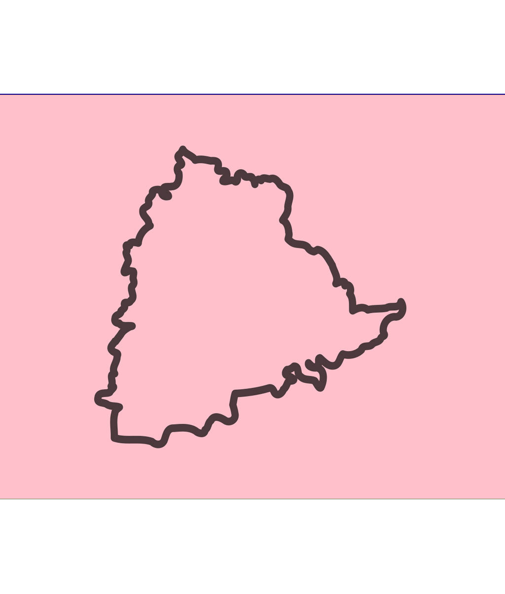 Bharat Rashtra Samithi (BRS) Flag