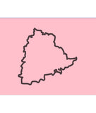 Bharat Rashtra Samithi (BRS) Flag