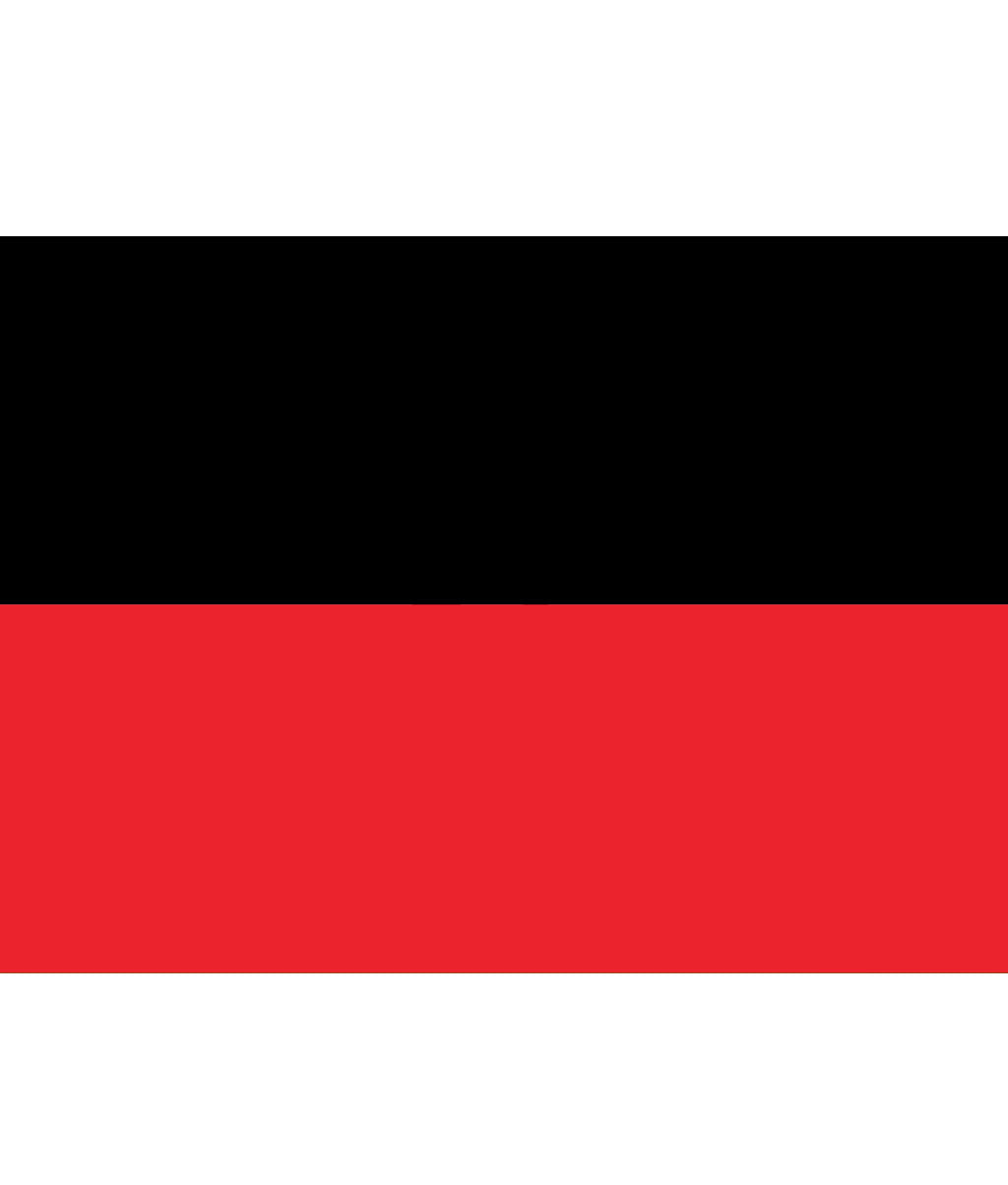 Dravida Munnetra Kazhagam (DMK) Flag