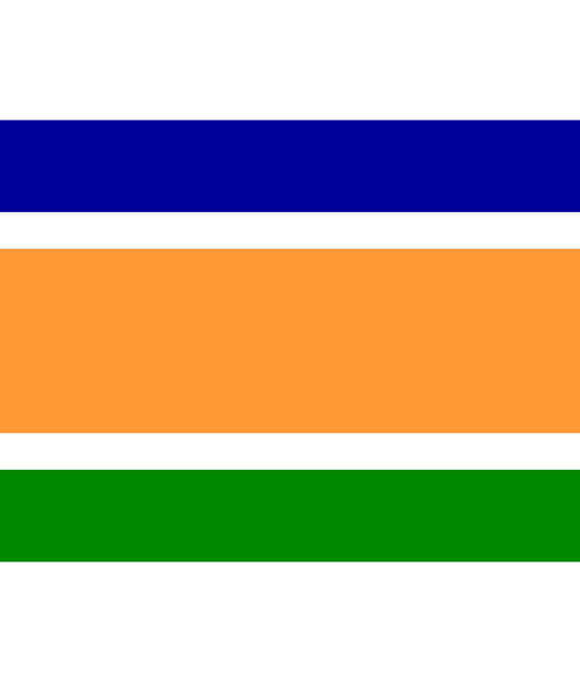 Maharashtra Navnirman Sena (MNS) Flag