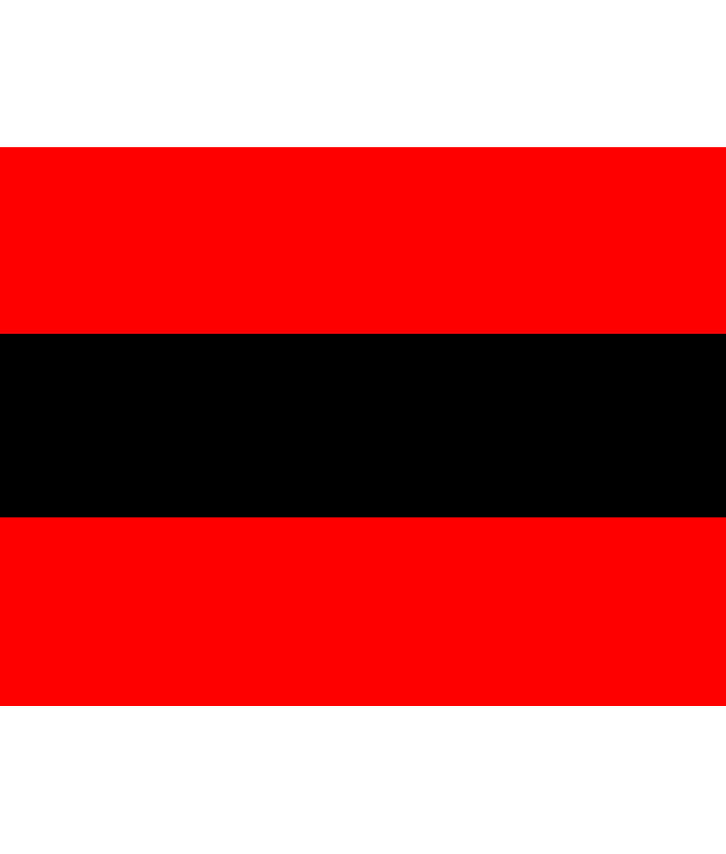 Marumalarchi Dravida Munnetra Kazhagam (MDMK) Flag