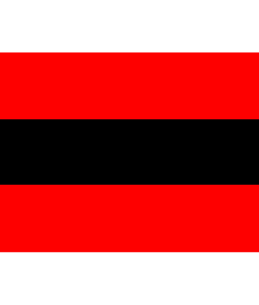Marumalarchi Dravida Munnetra Kazhagam (MDMK) Flag