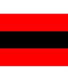 Marumalarchi Dravida Munnetra Kazhagam (MDMK) Flag
