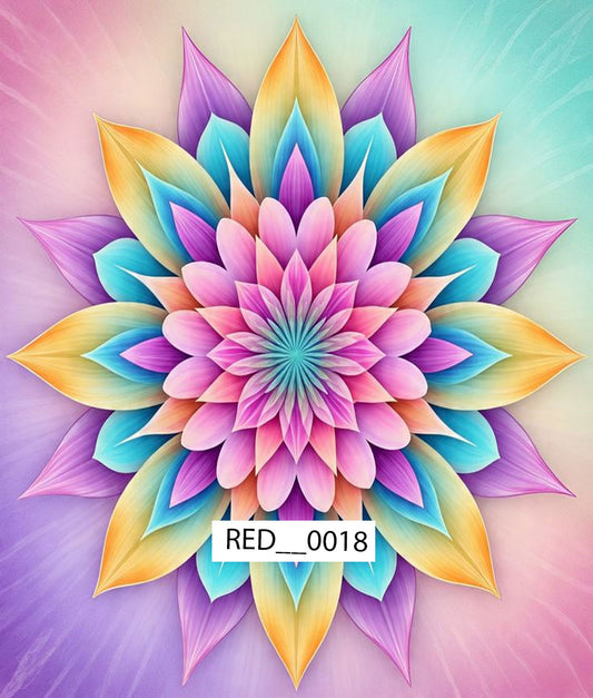 Lotus Ceiling Design