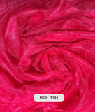 RED__T101