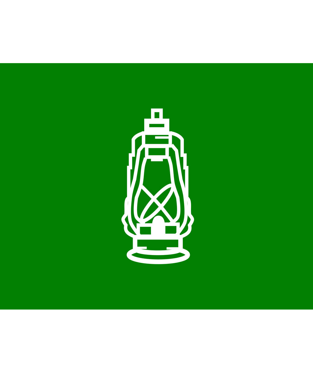 Rashtriya Janata Dal (RJD) Flag