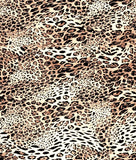 Tiger Print All Fabric Available